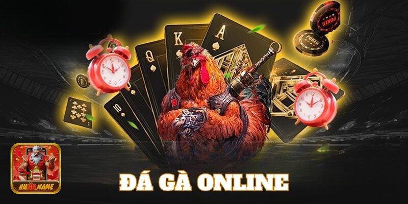 Đá Gà Cựa Sắt hm88 - Cân hạng – ghép cặp